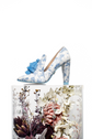 Lady Antionette&